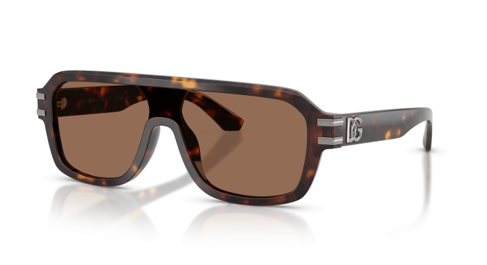 DOLCE & GABBANA 0DG4507 502/73