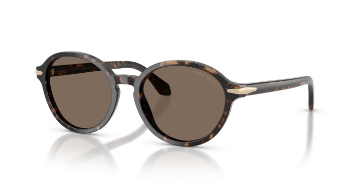 GIORGIO ARMANI 0AR8237 623573