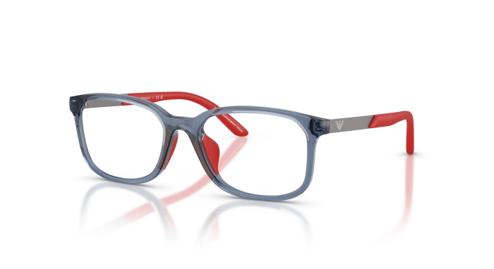 EMPORIO ARMANI 0EK3008U 6278