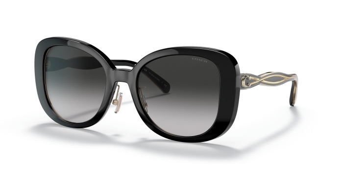 COACH 0HC8333 50023C
