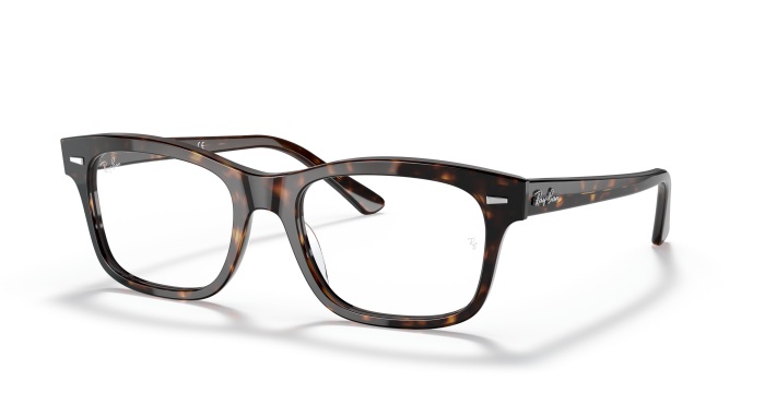 RAY-BAN 0RX5383 2012 EVOL