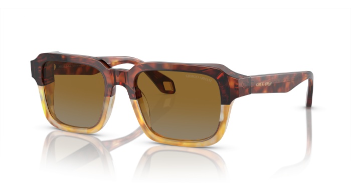 GIORGIO ARMANI 0AR8194U 6034B2